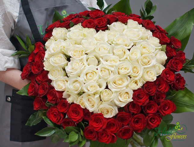 101 Красно-белая роза голландская с сердцем (60-70 см) (под заказ 5 дней) Фото